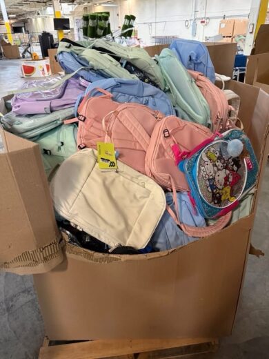 Backpack Pallets & Truckloads (500 pieces) - pmpalletliquidators.com