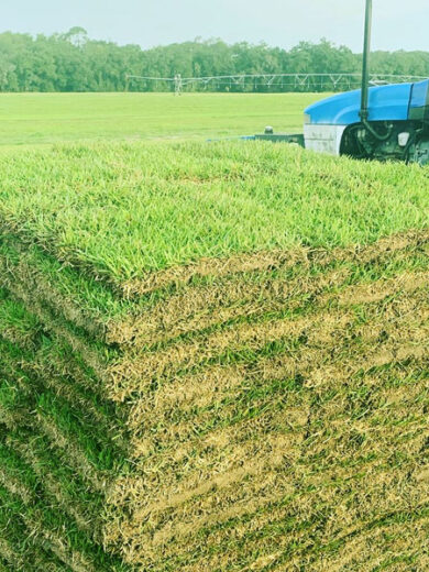 Buy Pallet Of Sod For Sale (450 Sq Ft – $350)