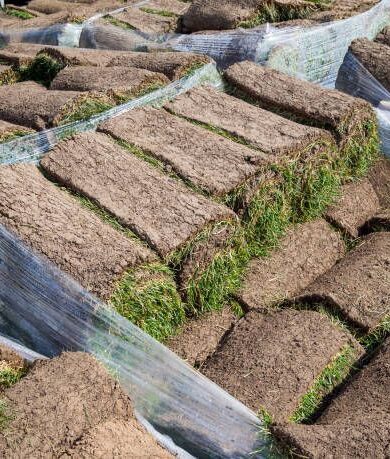 Buy Pallet Of Sod For Sale (450 Sq Ft – $350)