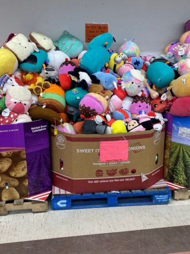 Buy Wholesale Dog Toys By The Pallet (500 Units – $550)