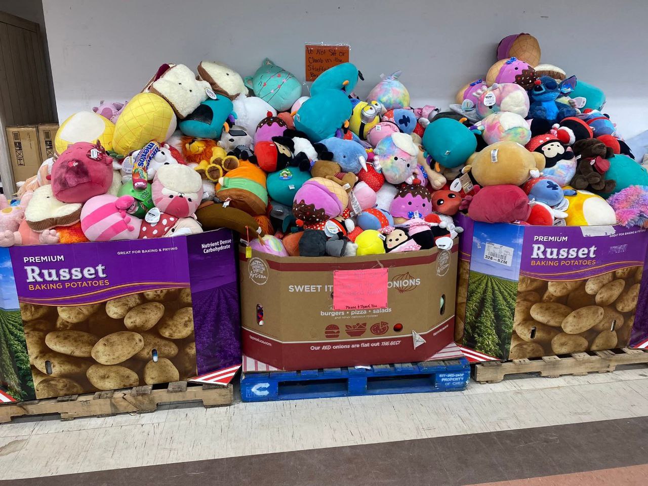 Buy Wholesale Dog Toys By The Pallet (500 Units – $550) 1 Buy Wholesale Dog Toys By The Pallet (500 Units – $550)